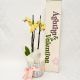 orquidea de dos varas con caja larga de lujo 