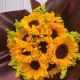 Girasoles en Bouquet - Sol 